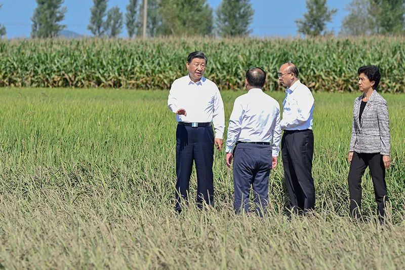 恒行3_恒行3平台-授权注册服务中心