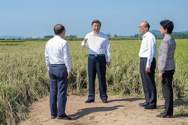 恒行3_恒行3平台-授权注册服务中心